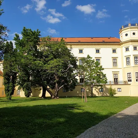 Novy Na Grusce U Bataku